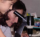 Lower Elementary Curriculum